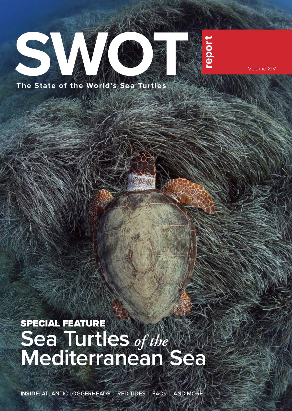 SWOT 14 Cover Small.jpg