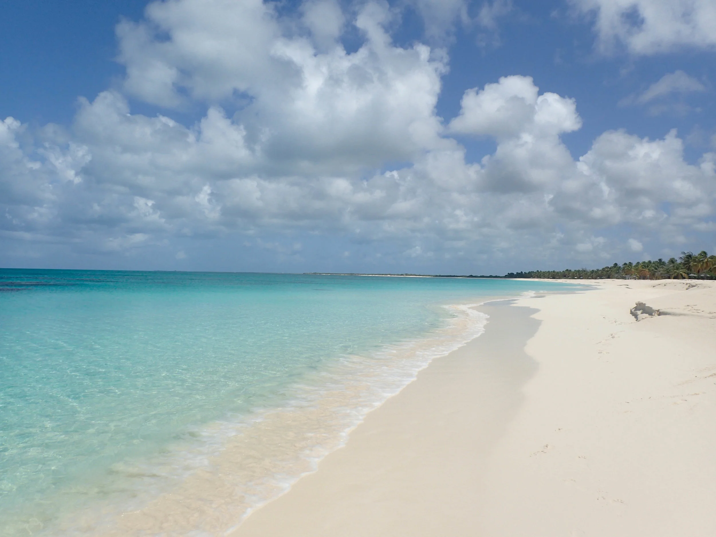 Barbuda boasts pristine beaches that are home to nesting hawksbill, leatherback, and green turtles. © WENDY MCFARLANE