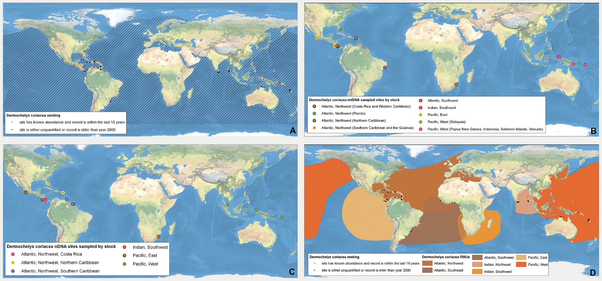 From Wallace, B. P., et al. 2010. Regional Management Units for marine turtles: A novel framework for prioritizing conservation and research across multiple scales. PLoS ONE 5 (12): e15465.