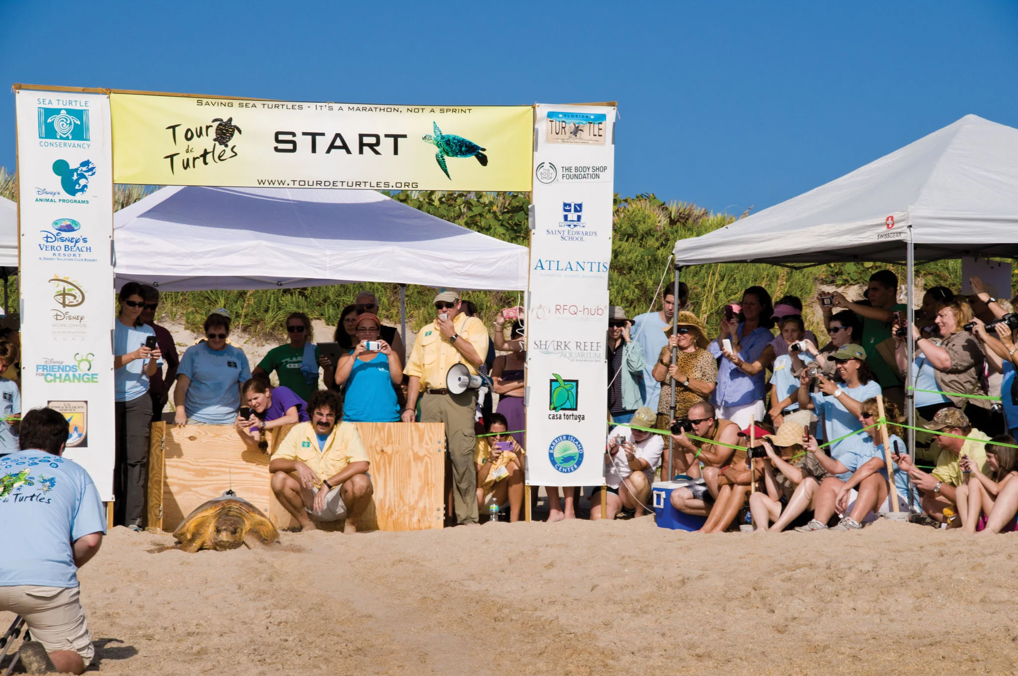 Spectators and corporate sponsors gather at the starting line of Sea Turtle Conservancy’s Tour de Turtles. The campaign recruited corporate turtle sponsors to fund satellite tracking research and to generate public awareness for conservation. © Sea Turtle Conservancy