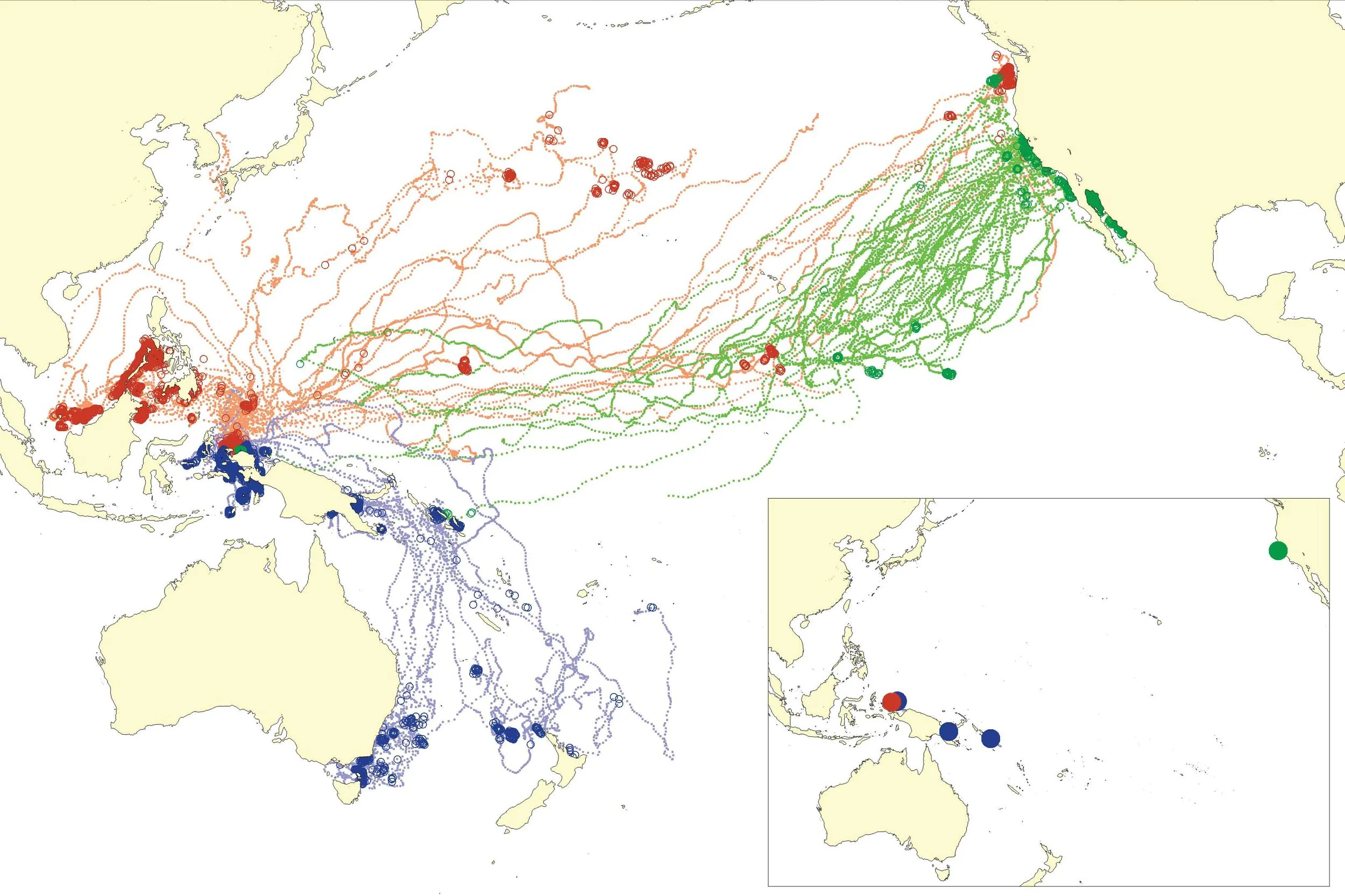 Satellite tracks of western Pacific leatherback turtles showing feeding areas (large, darker circles) and migrations (small, lighter circles). Track colors indicate deployment season: red = summer nesters, blue = winter nesters, green = deployments at central California foraging grounds. Inset shows deployment locations; PBI = Papua Barat, Indonesia; PNG = Papua New Guinea; SI = Solomon Islands; CCA = central California.