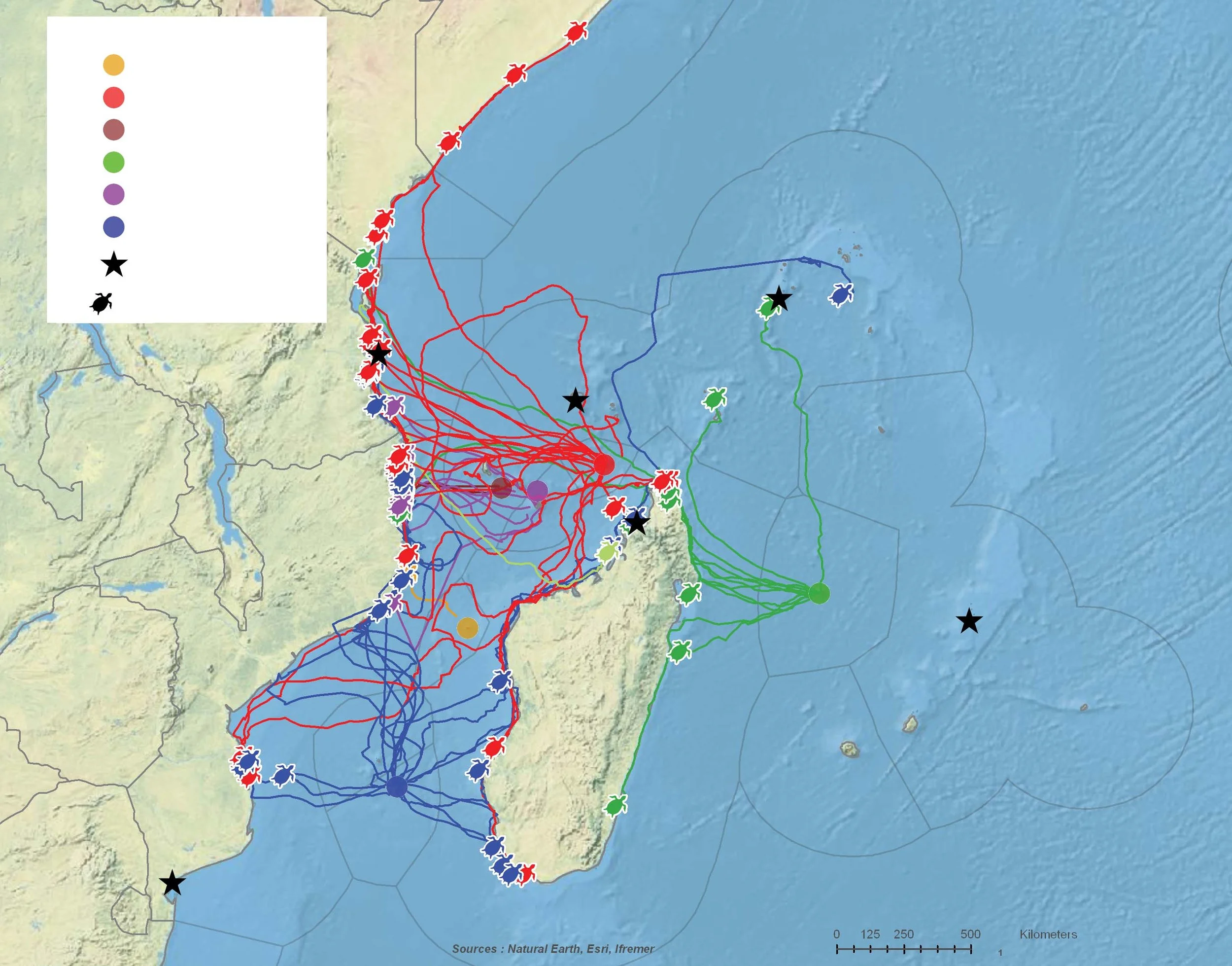 Movements and feeding sites of 64 green turtles tracked after nesting throughout the Southwest Indian Ocean. Track colors correspond to the tag deployment sites, which are shown as colored dots. Black stars represent future deployment sites.