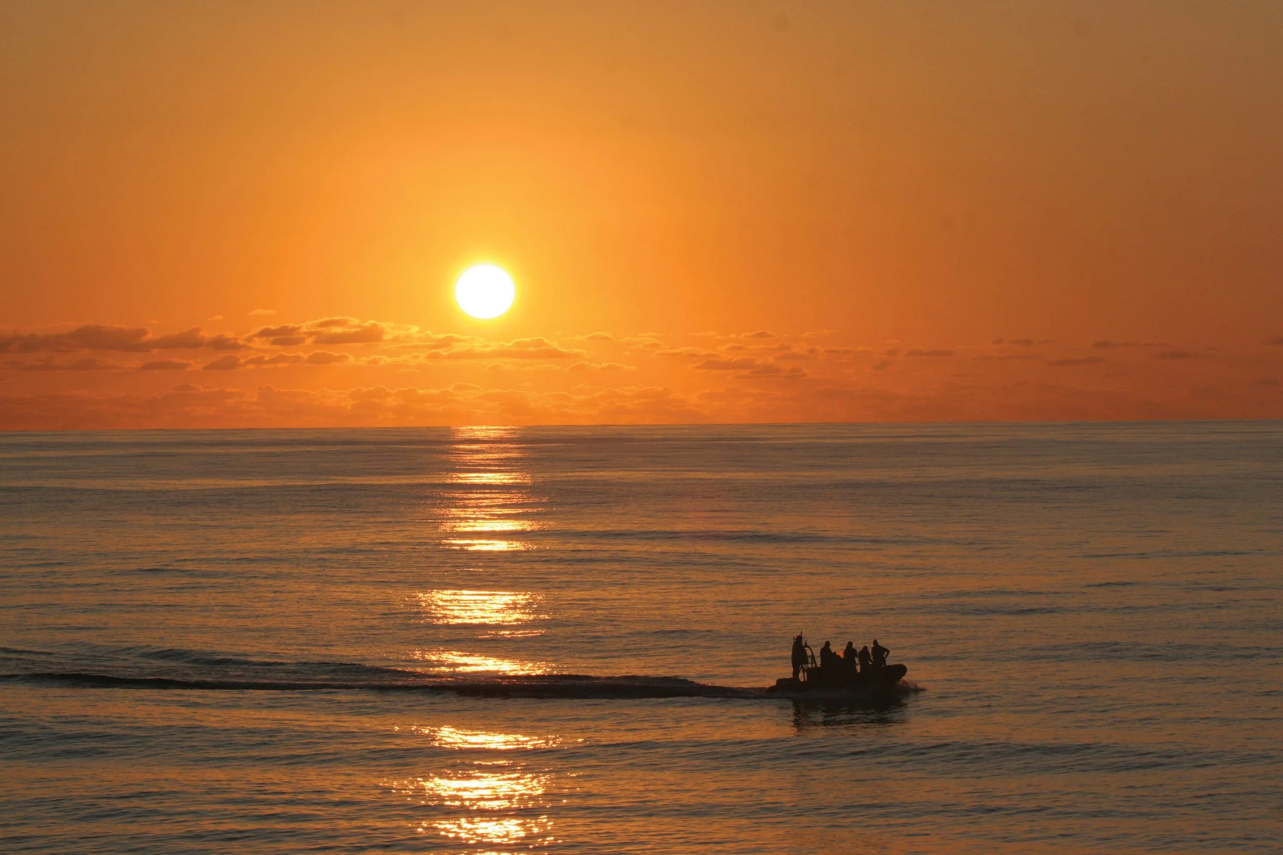 A research team heads back to the “mother ship” after a day on the water studying free-swimming sea turtles. © NOAA NMFS SWFSC PRD Permit # 774-1714