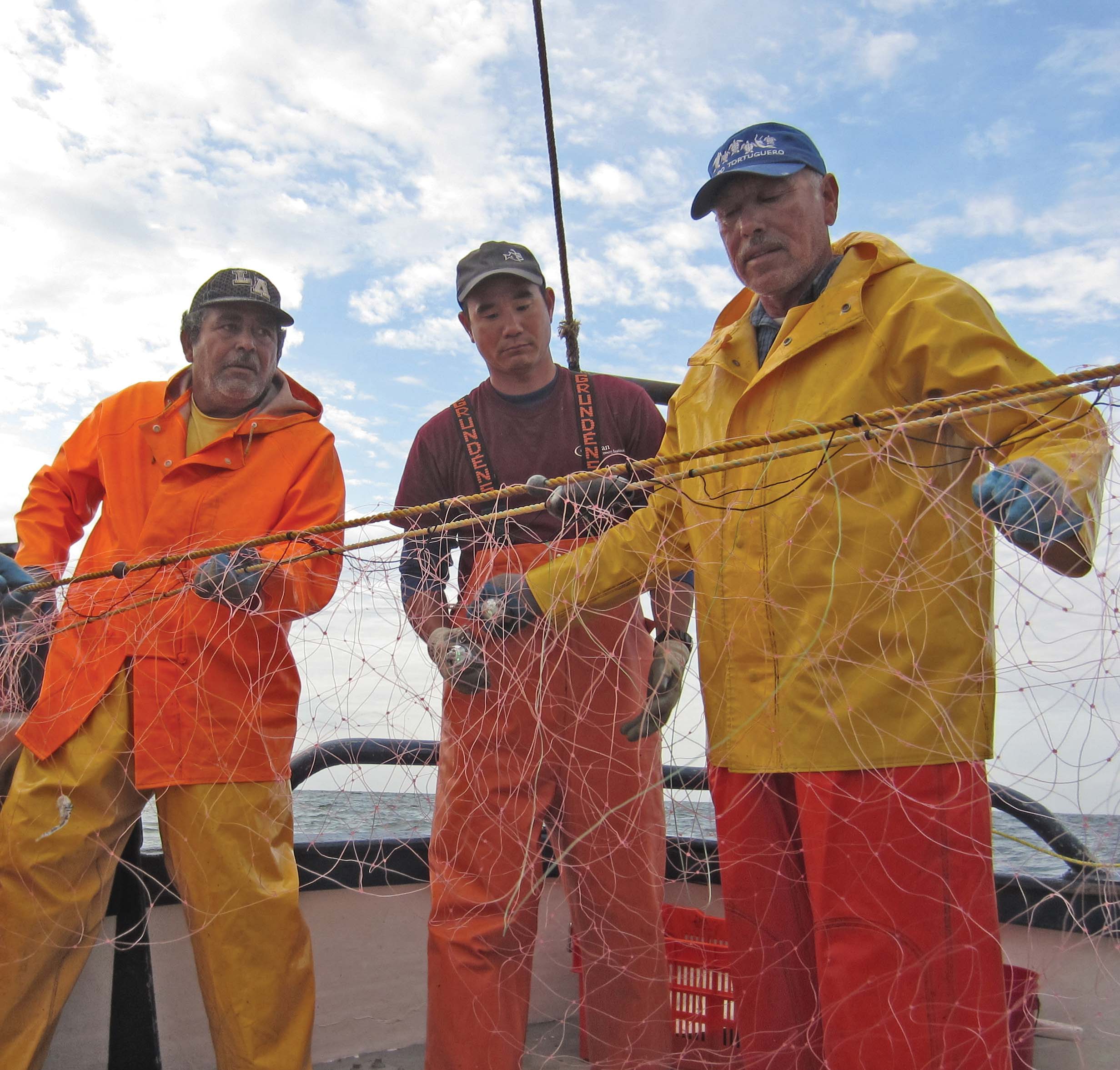 Researchers and fishermen collaborate in Mexico to test the use of lightsticks on gillnets to reduce turtle bycatch. © John Wang