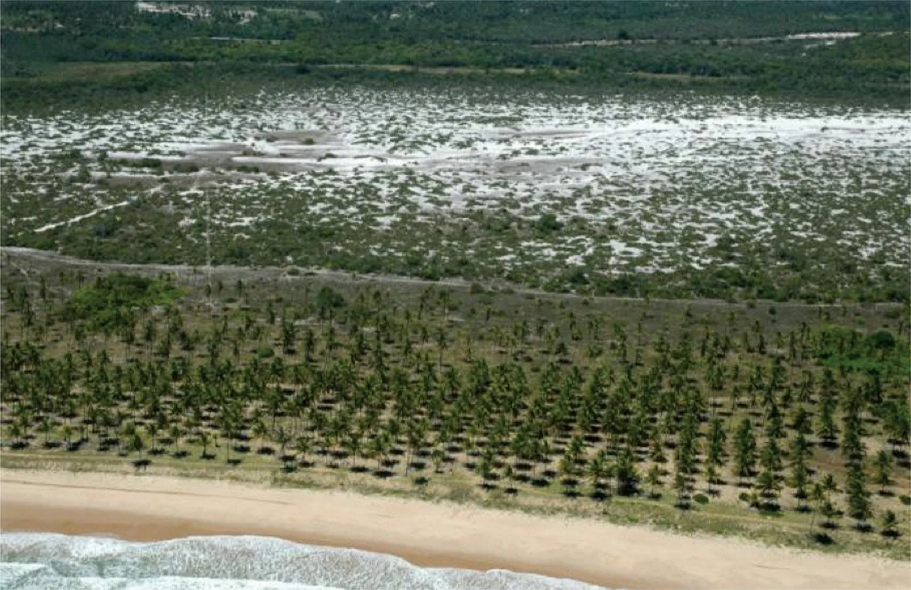 Aerial images of the coastline of northern Bahia, Brazil, in 2000 and 2008 show how the coastline has been developed over time from coconut plantations to resort tourism. © Projeto Tamar Image Bank