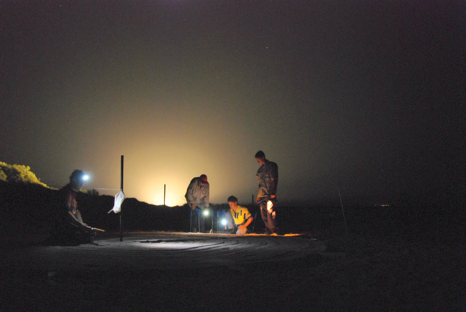 Field assistants test the orientation of hatchling flatback turtles in the presence of lights typically used by industry and in urban areas. The data from the study, which was conducted on Barrow Island, Australia, were used to establish a baseline to inform the Chevron Gorgon gas project. © Kellie Pendoley