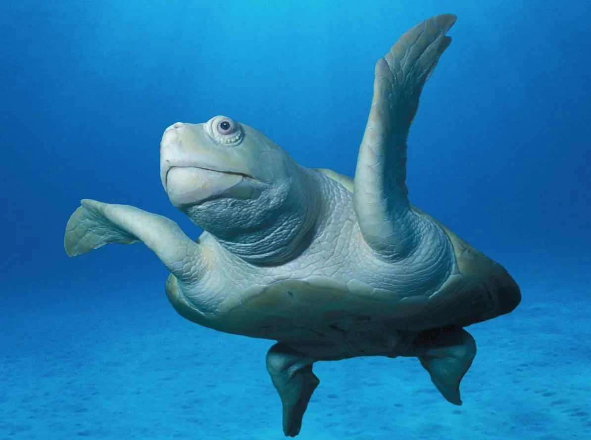 How the U.S. Government Defines Recovery of Endangered Species