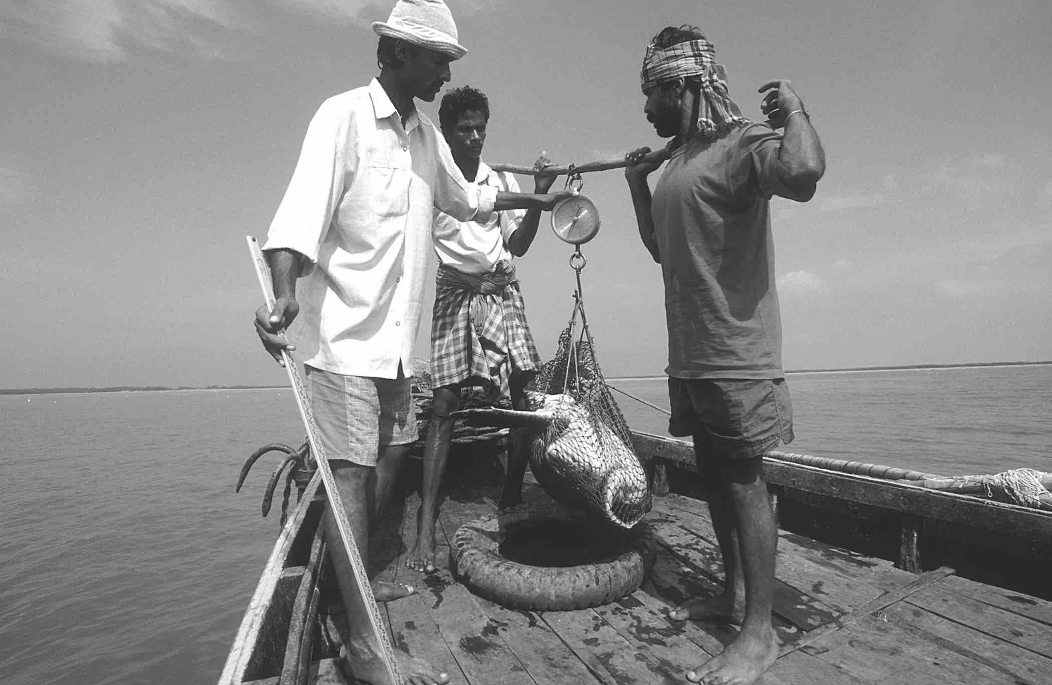 A field team weighs an olive ridley in Gahirmatha, state of Orissa, India. © Bivash Pandav