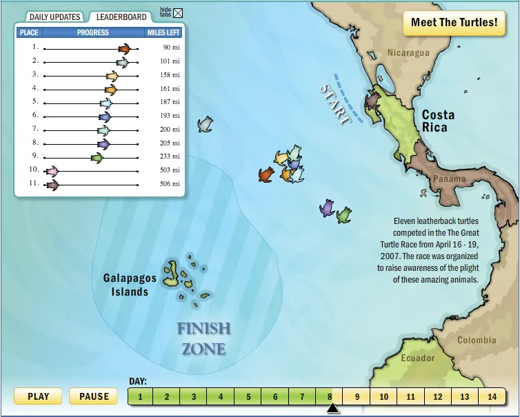 The turtles’ movements were updated every few minutes on this animated map on the homepage of www.greatturtlerace.com, hosted by Yahoo!