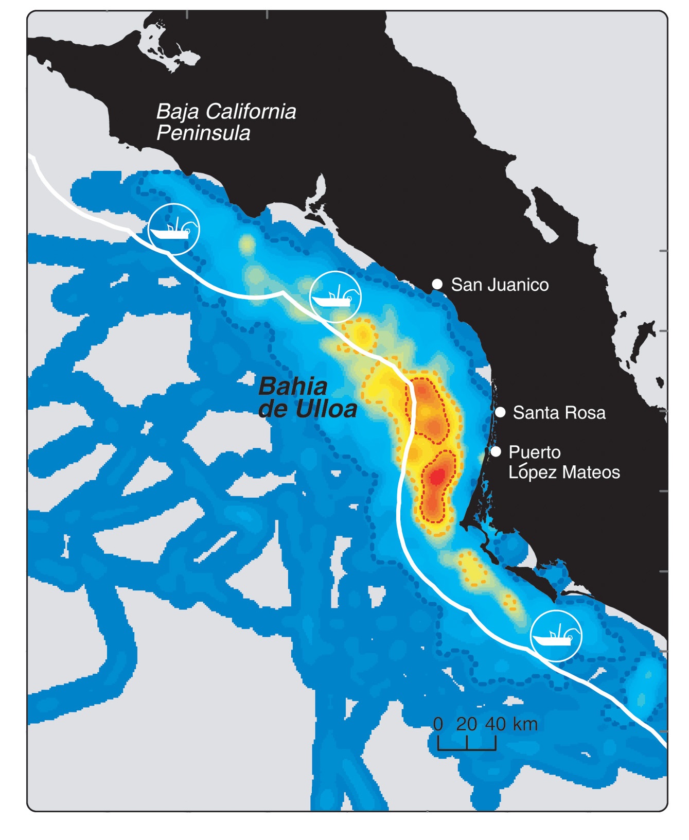 Identification of high-use areas for loggerheads off Baja California (shown in orange and red) using satellite telemetry has stimulated efforts to create protected zones, an example of how innovative research tools help to set priorities for conservation. Figure courtesy of Hoyt Peckham, David Diaz, Andreas Walli, Georgita Ruiz, Larry Crowder, and Wallace J. Nichols, from the article “Small Scale Fisheries Bycatch Jeopardizes Endangered Pacific Loggerhead Turtles” in PLoS ONE, issue 10, Oct. 2007.