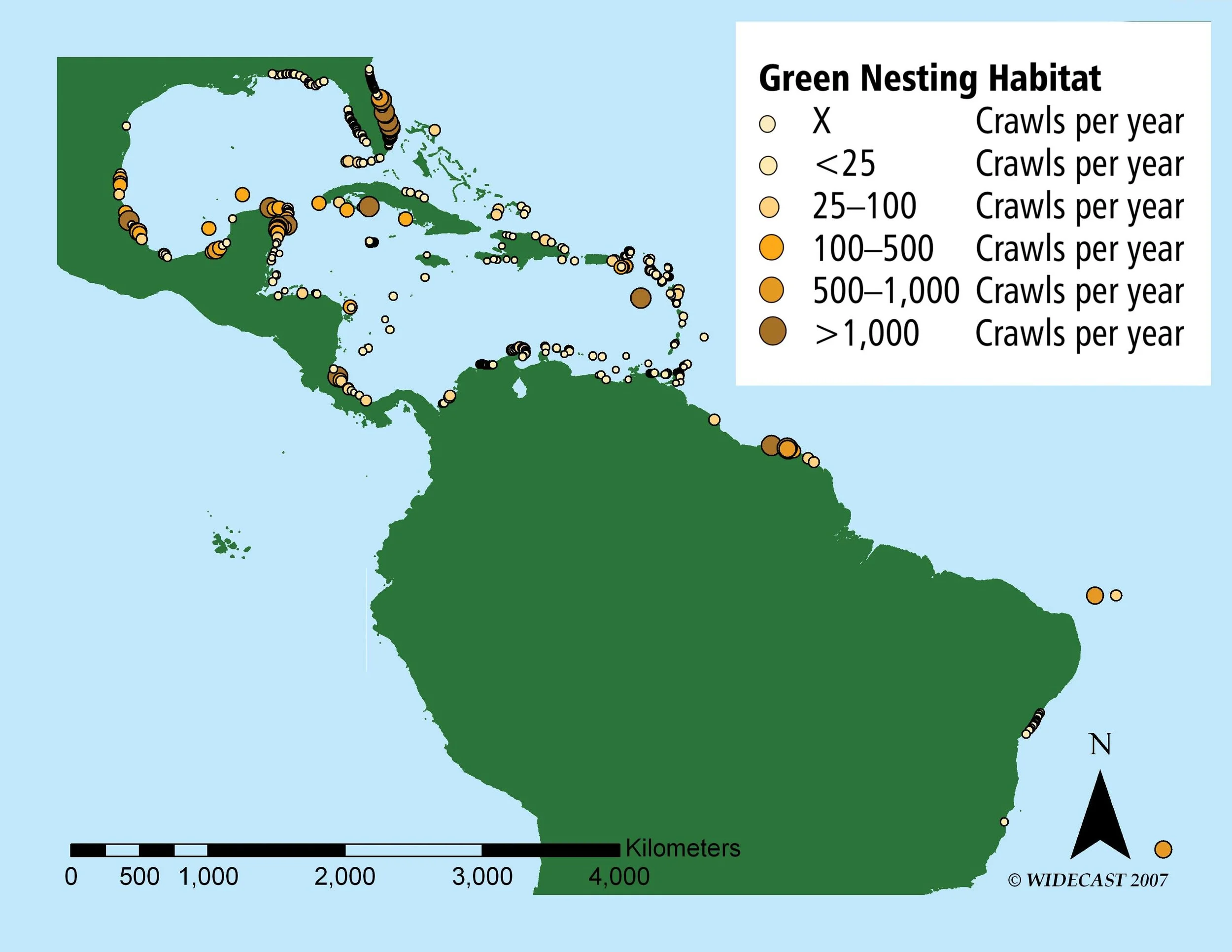 Where Do Sea Turtles Nest in the Caribbean Sea? — The State of the ...