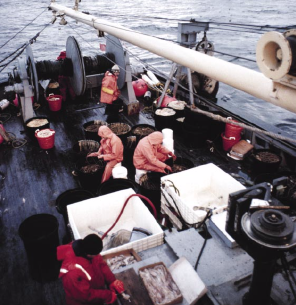 Sablefish longline operations set lines 3/4 mile long with hooks every 15 to 20 feet. © NATIONAL OCEANIC AND ATMOSPHERIC ADMINISTRATION / DEPARTMENT OF COMMERCE