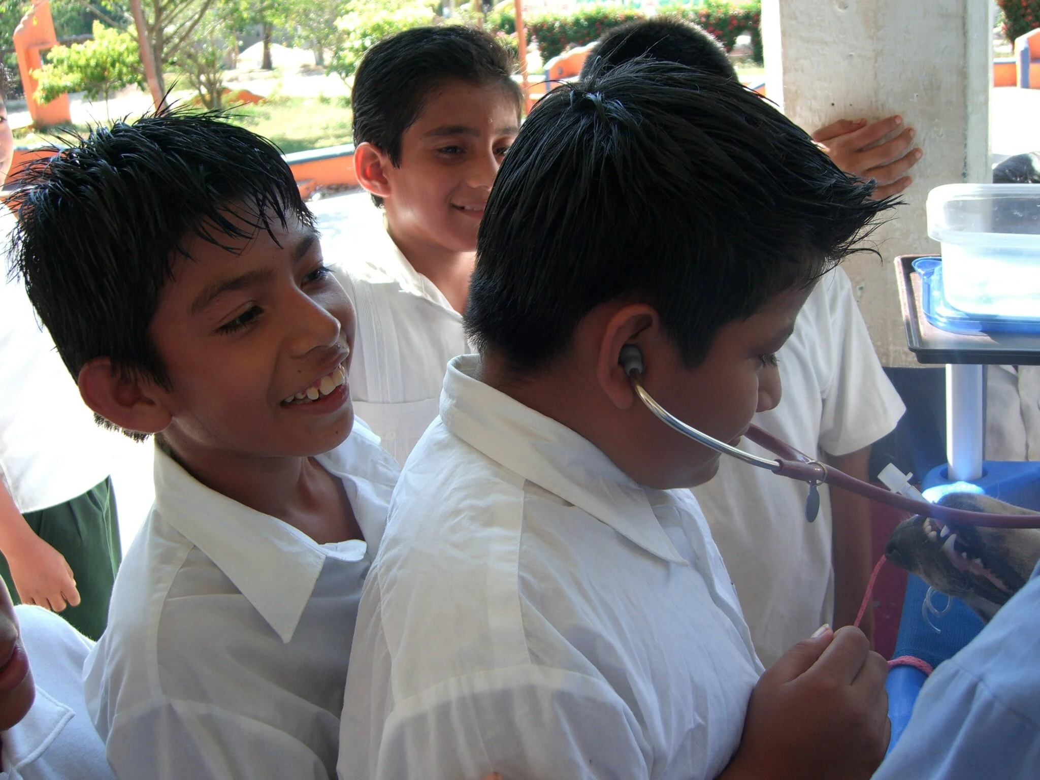 The Mazunte Project – Mexico (2020)