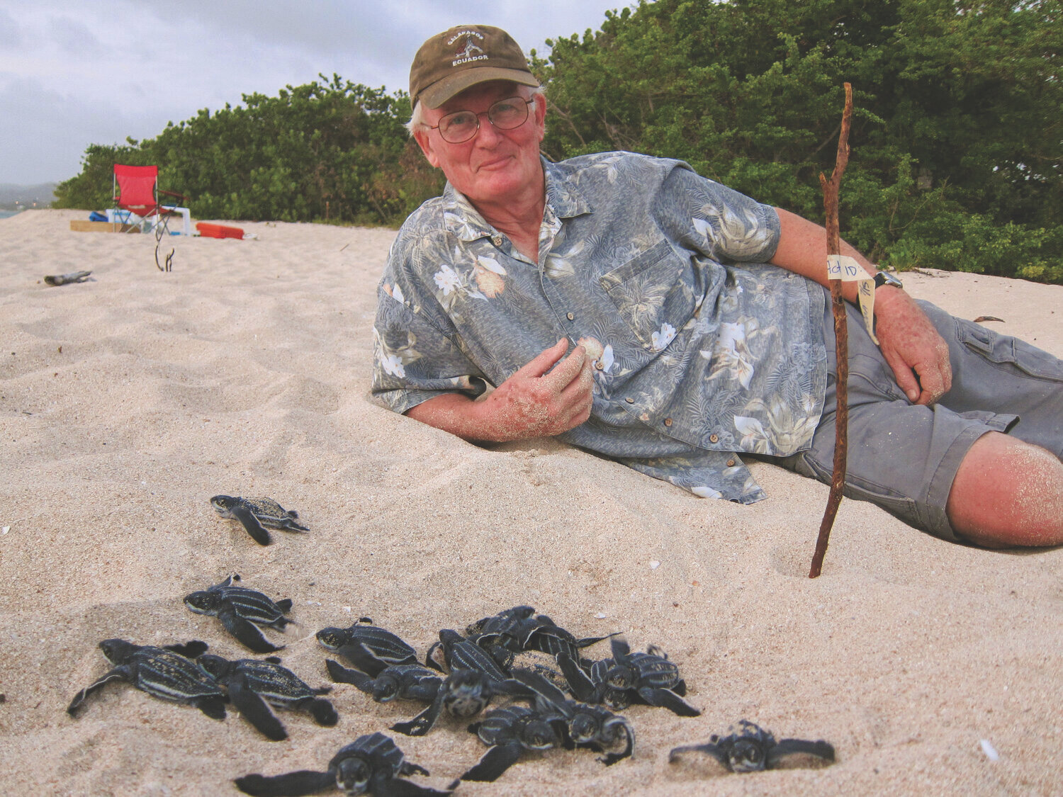 In Memoriam — The State of the World's Sea Turtles
