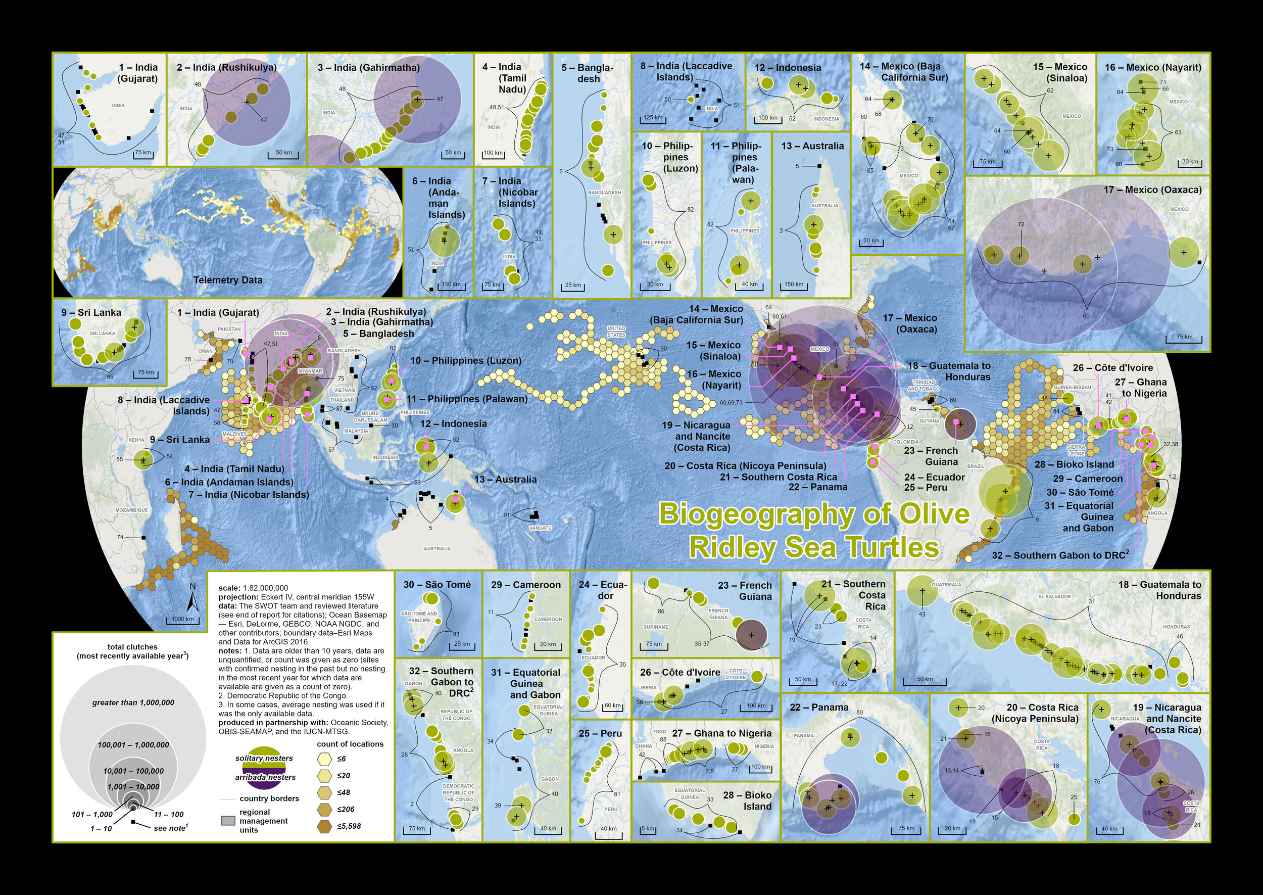 SWOT_XVI_olive_ridley_biogeography_FINAL_V2_20210531.jpg