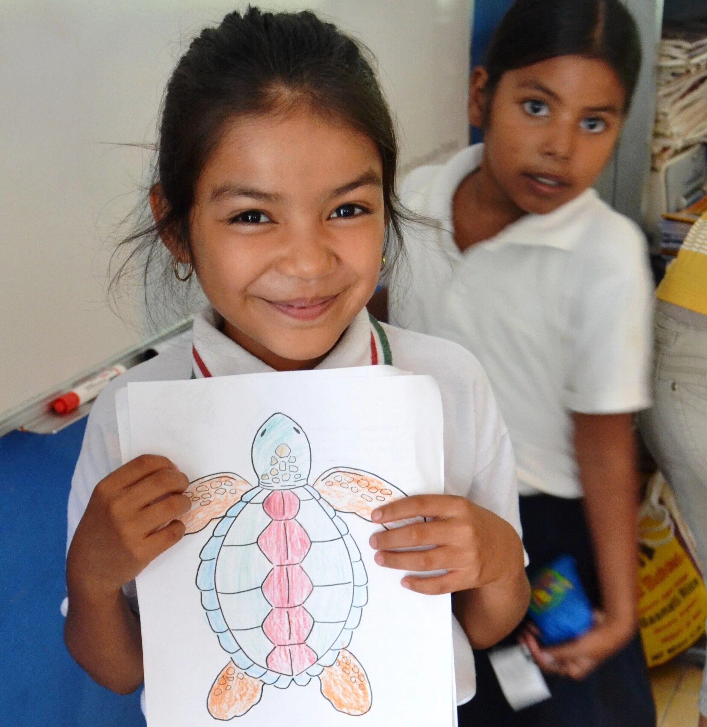 Ocean Connectors – Mexico (2020)