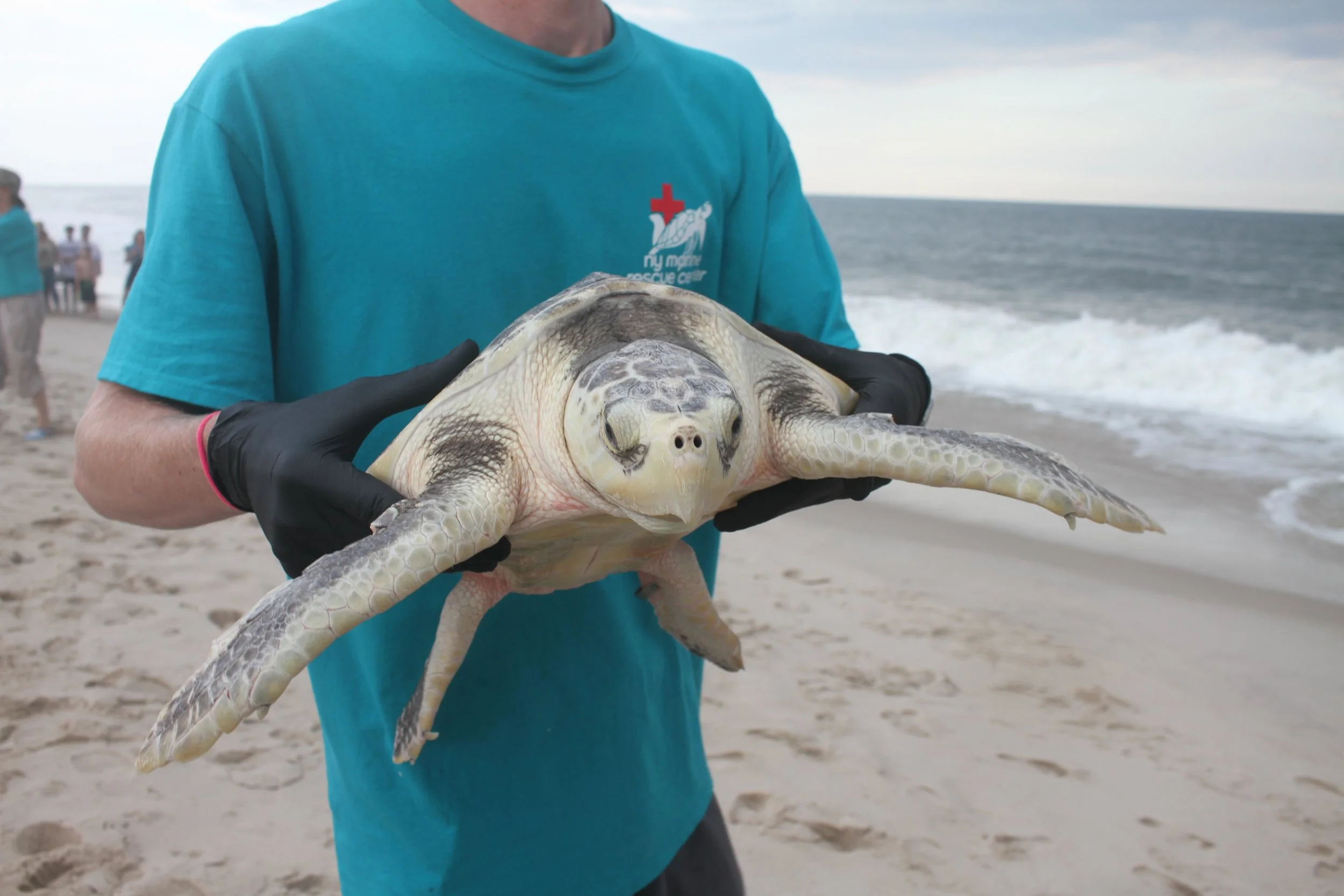 New York Marine Rescue Center (NYMRC) - U.S.A. (2022)