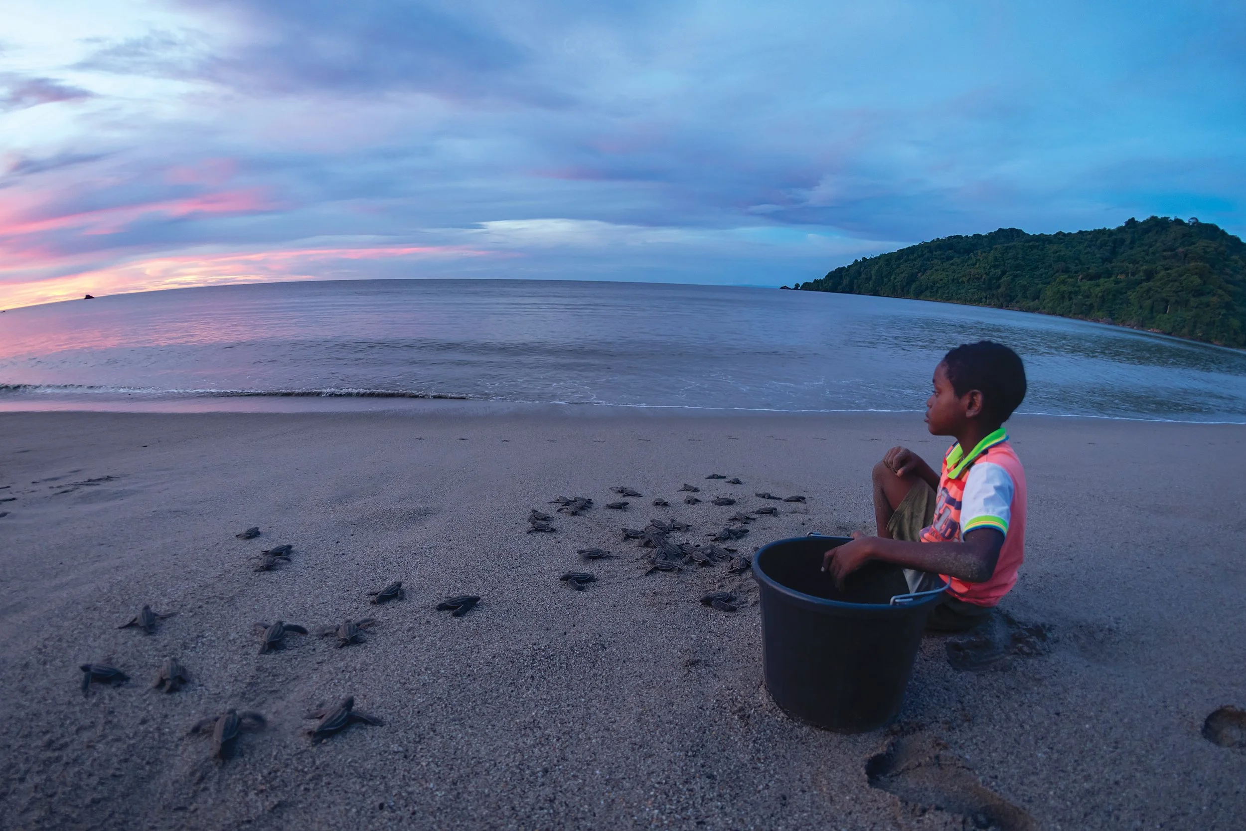 Decolonizing Sea Turtle Conservation