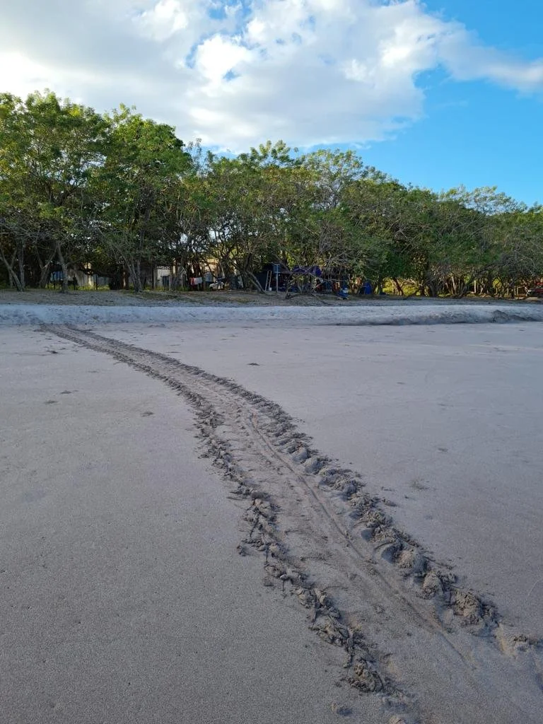 Kuemar – Costa Rica (2023)