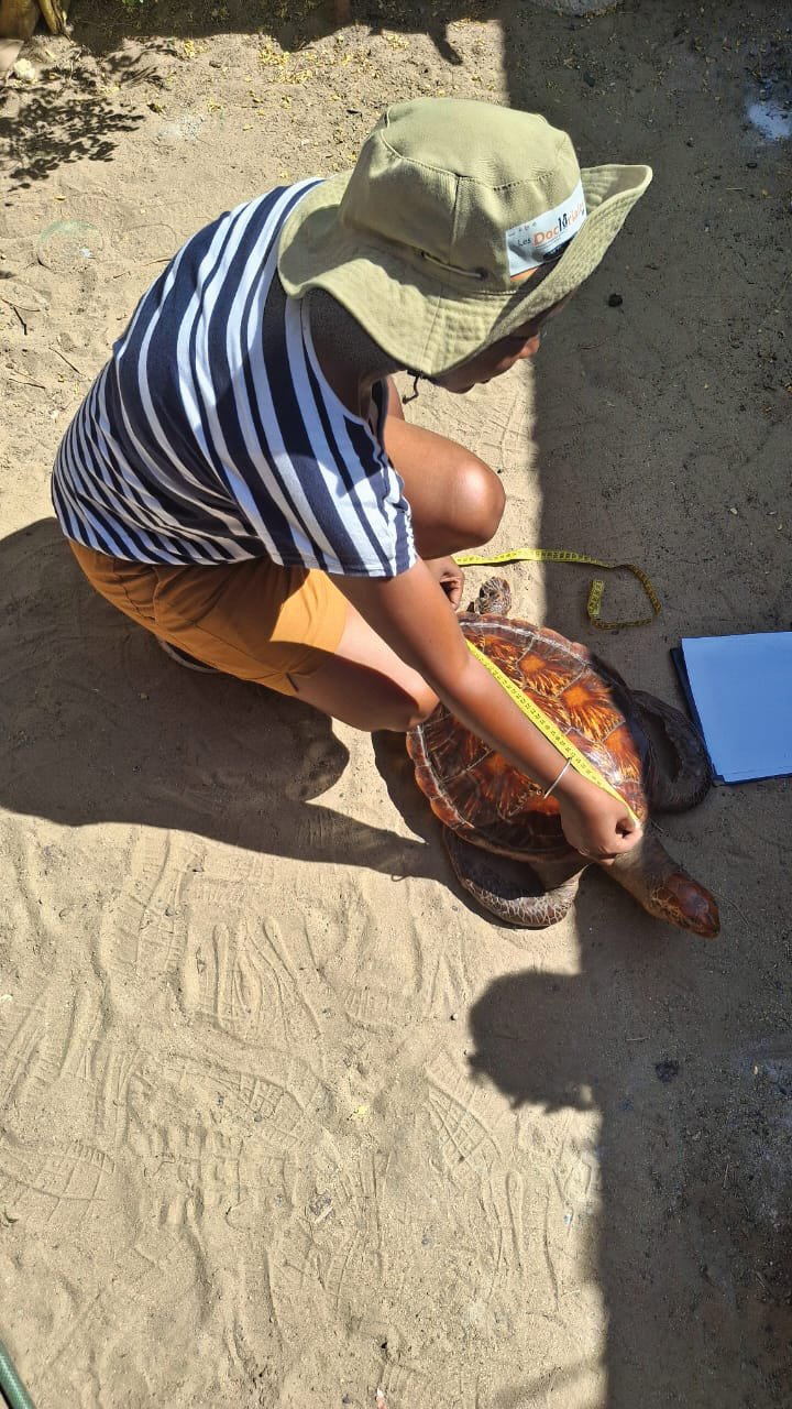 Acting Globally: SWOT Small Grants 2025