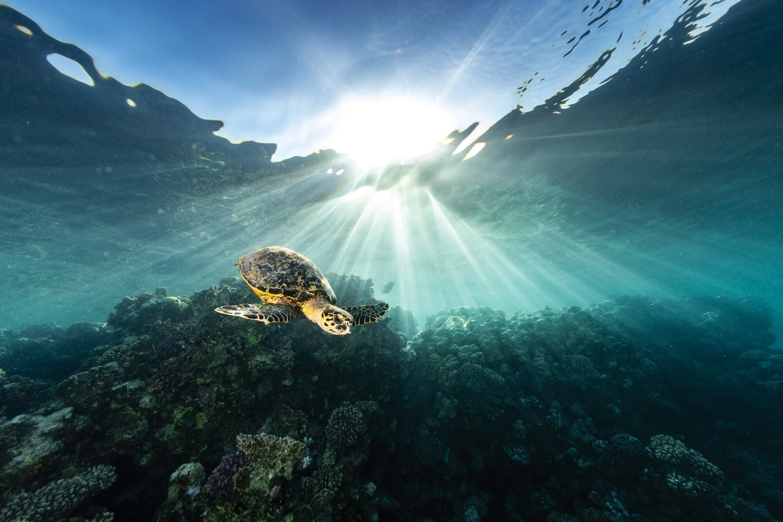 Editor's Note: Sustaining Our Momentum