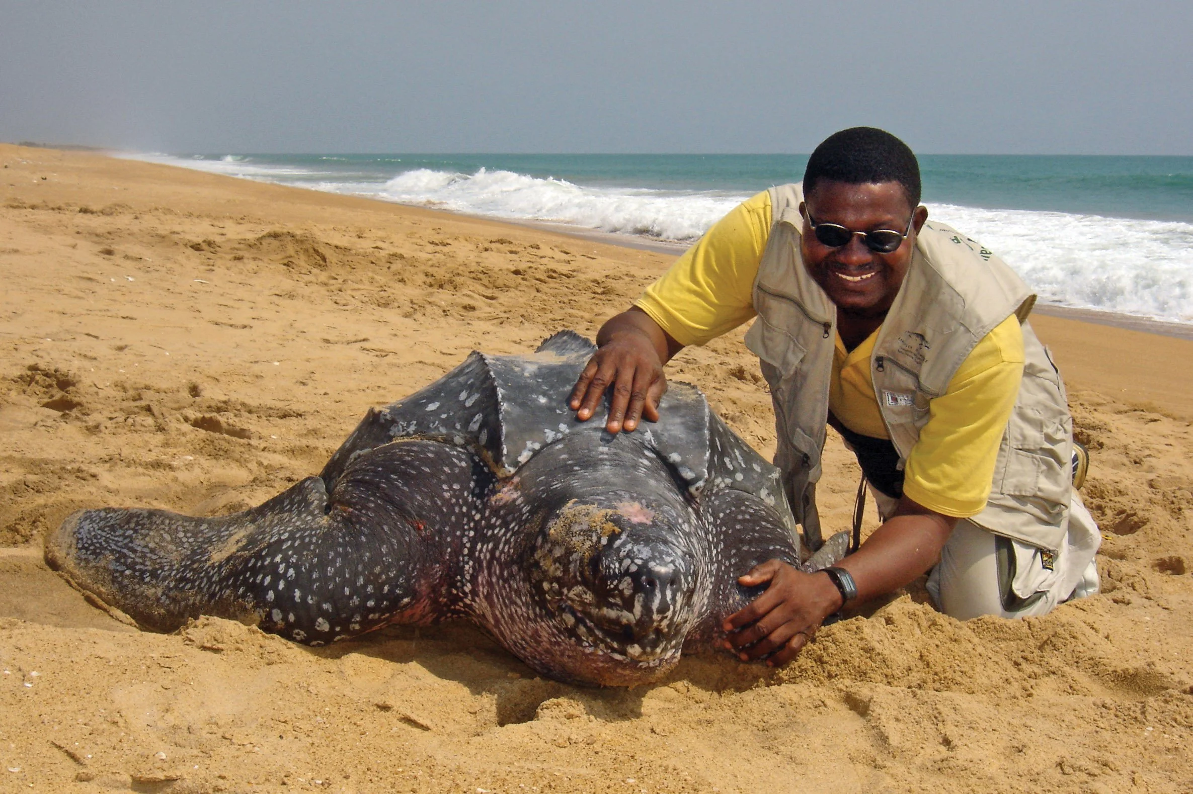 Joséa S. Dossou-Bodjrènou 