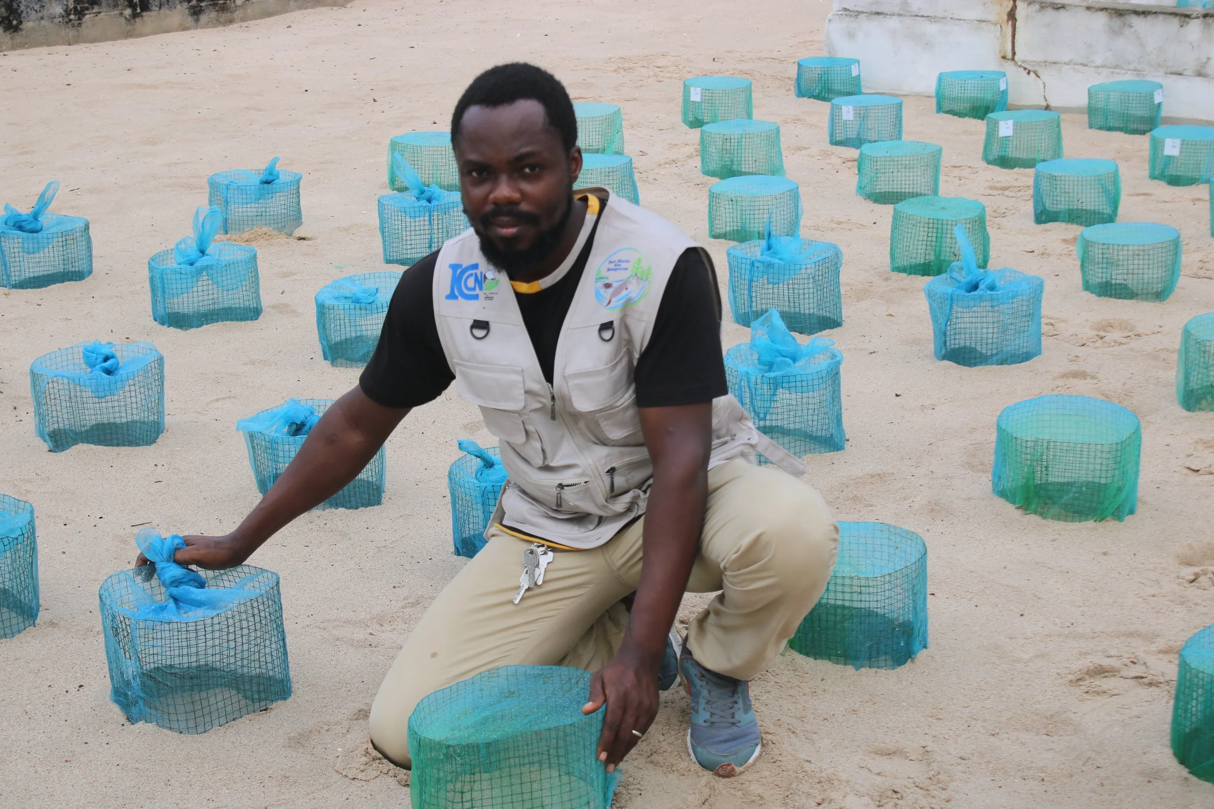 Institut Congolais pour la Conservation de la Nature (ICCN) (2024)
