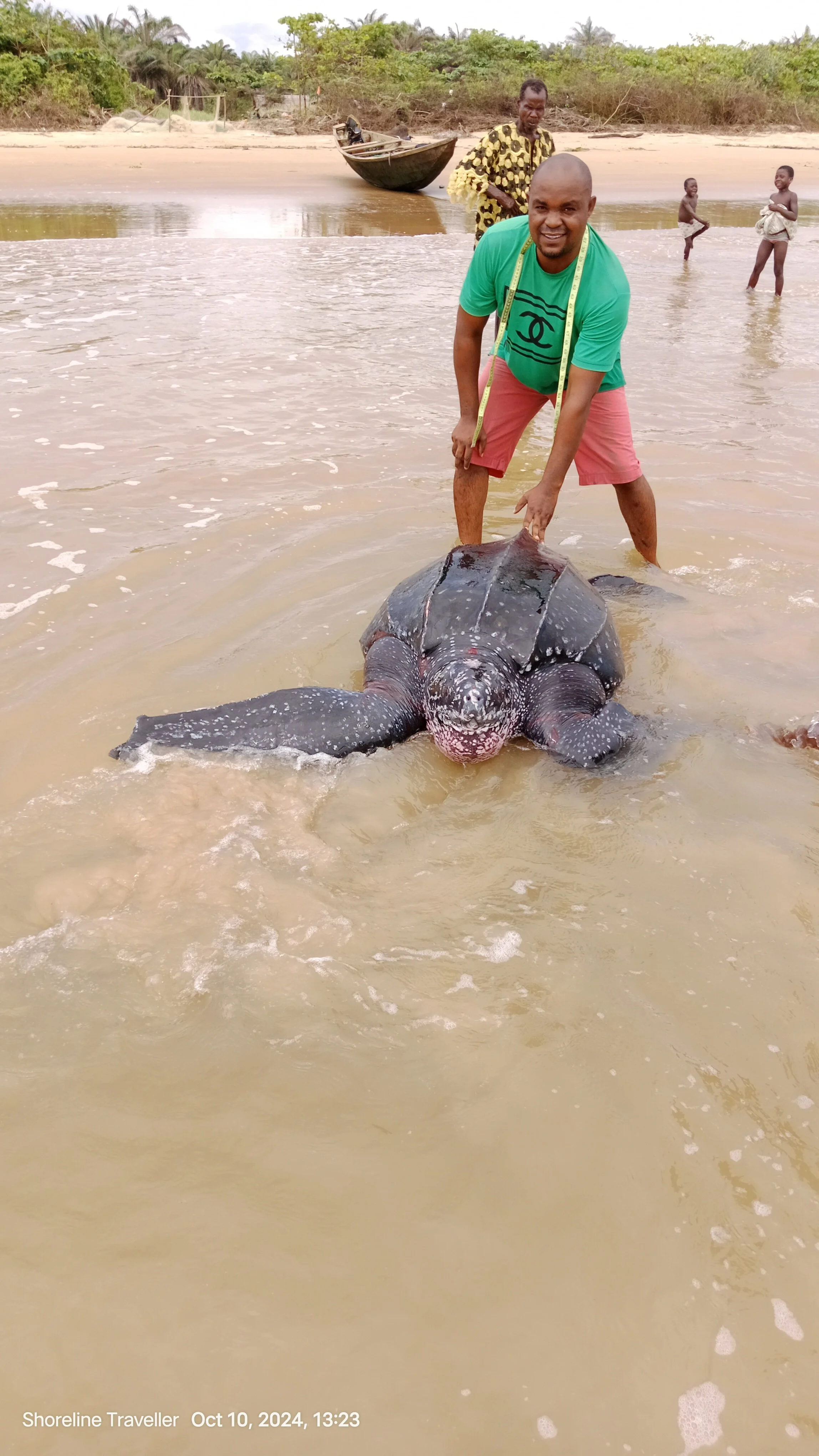 Safe Earth Foundation (2024)