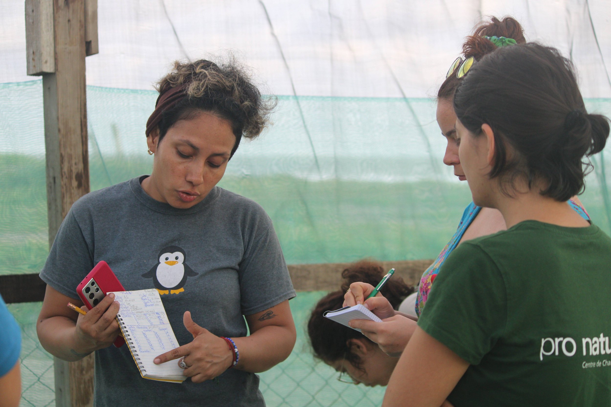 Sos Nicaragua (2024)