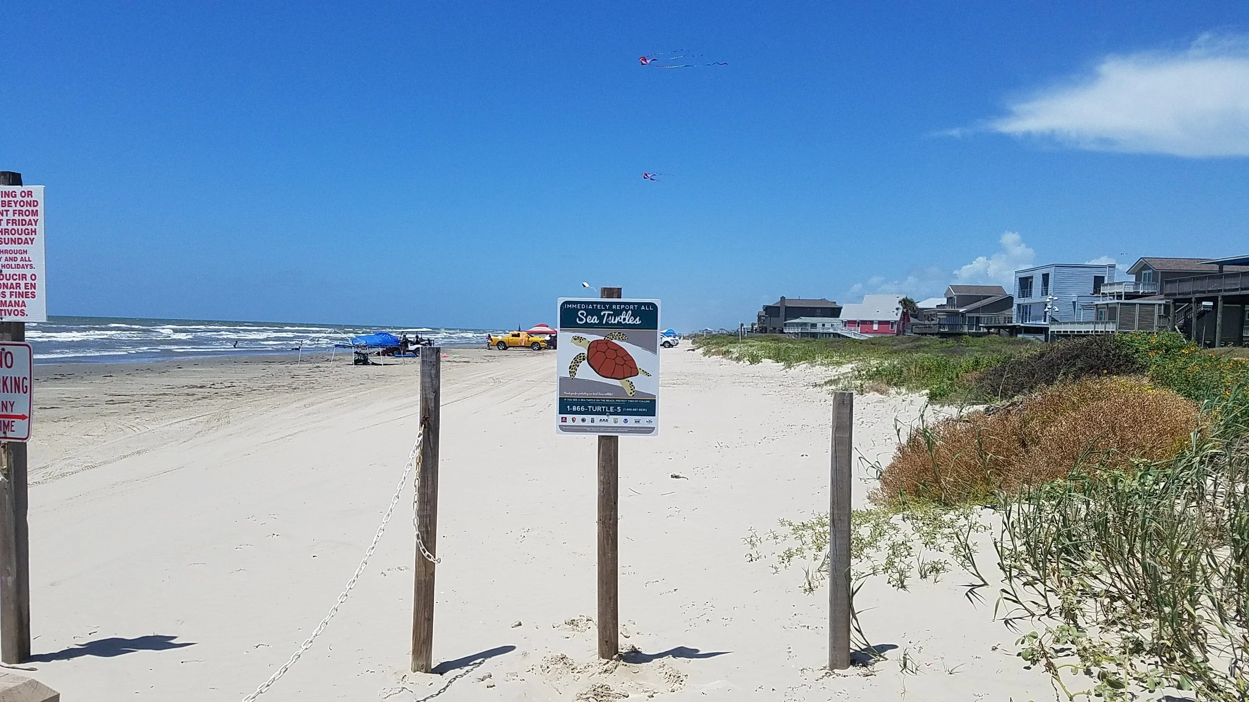 Turtle Island Restoration Network (TIRN) (2024)