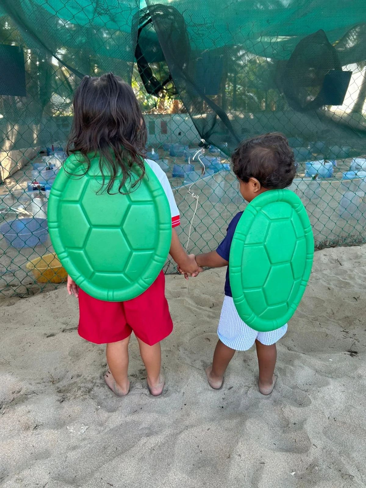 Campamento Tortuguero Ayotlcalli A.C. (2024)