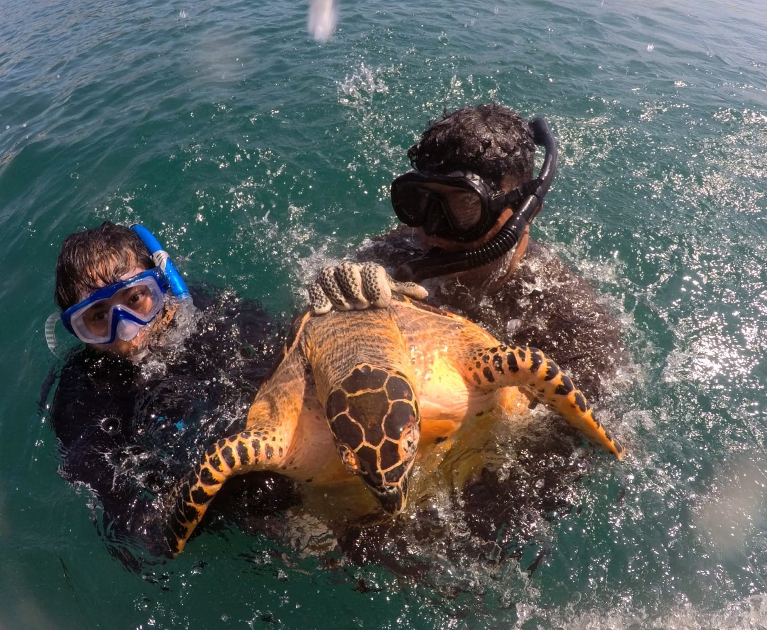 Centro ECOMAR-UAGro (2024)