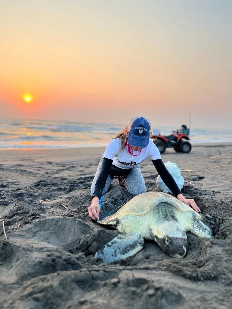 Vanessa Labrada Martagón (2024)