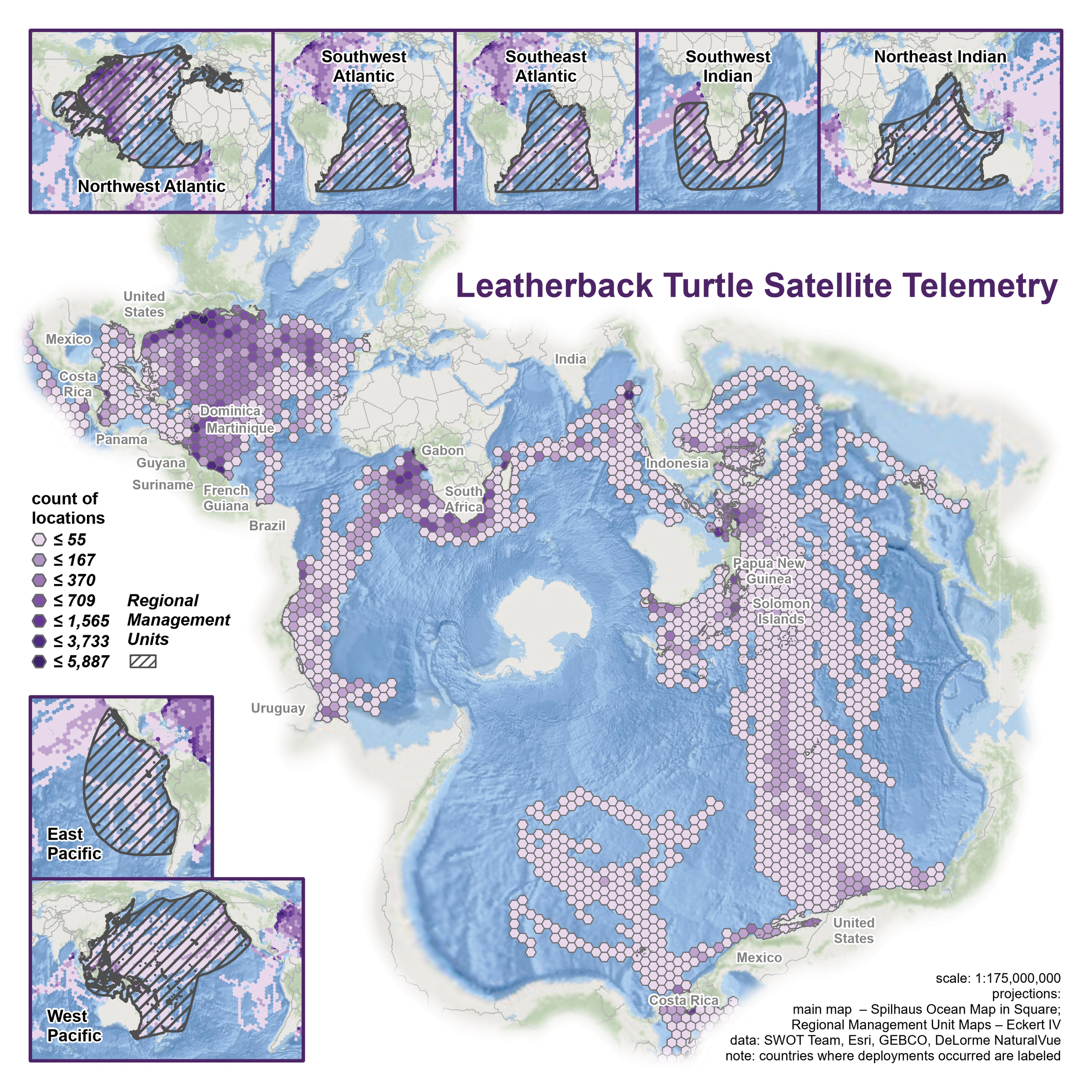 Tortoise Map Printed SWOT Report Maps — The State of the World's Sea Turtles | SWOT