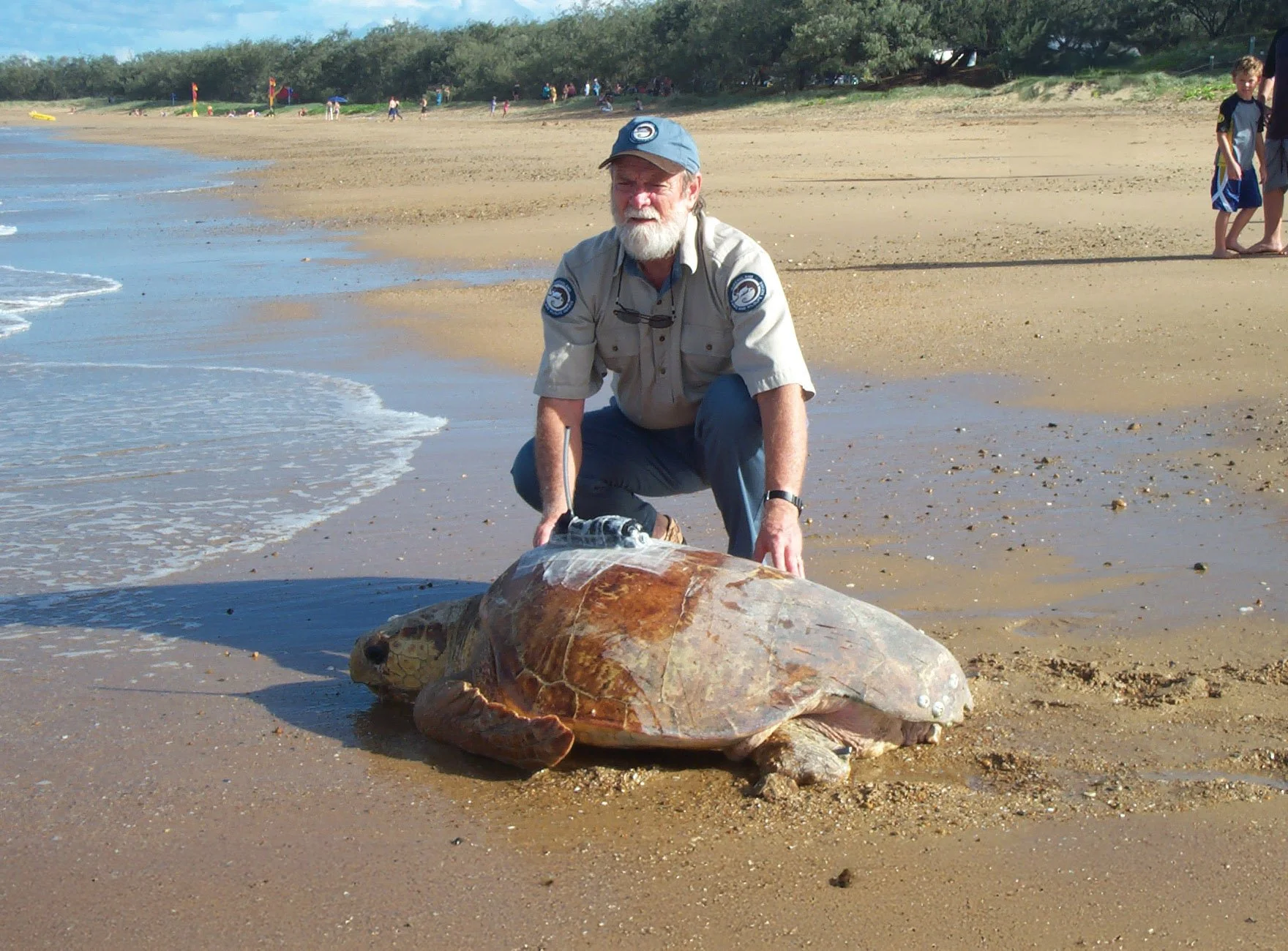 Colin Limpus with loggerhead turtle