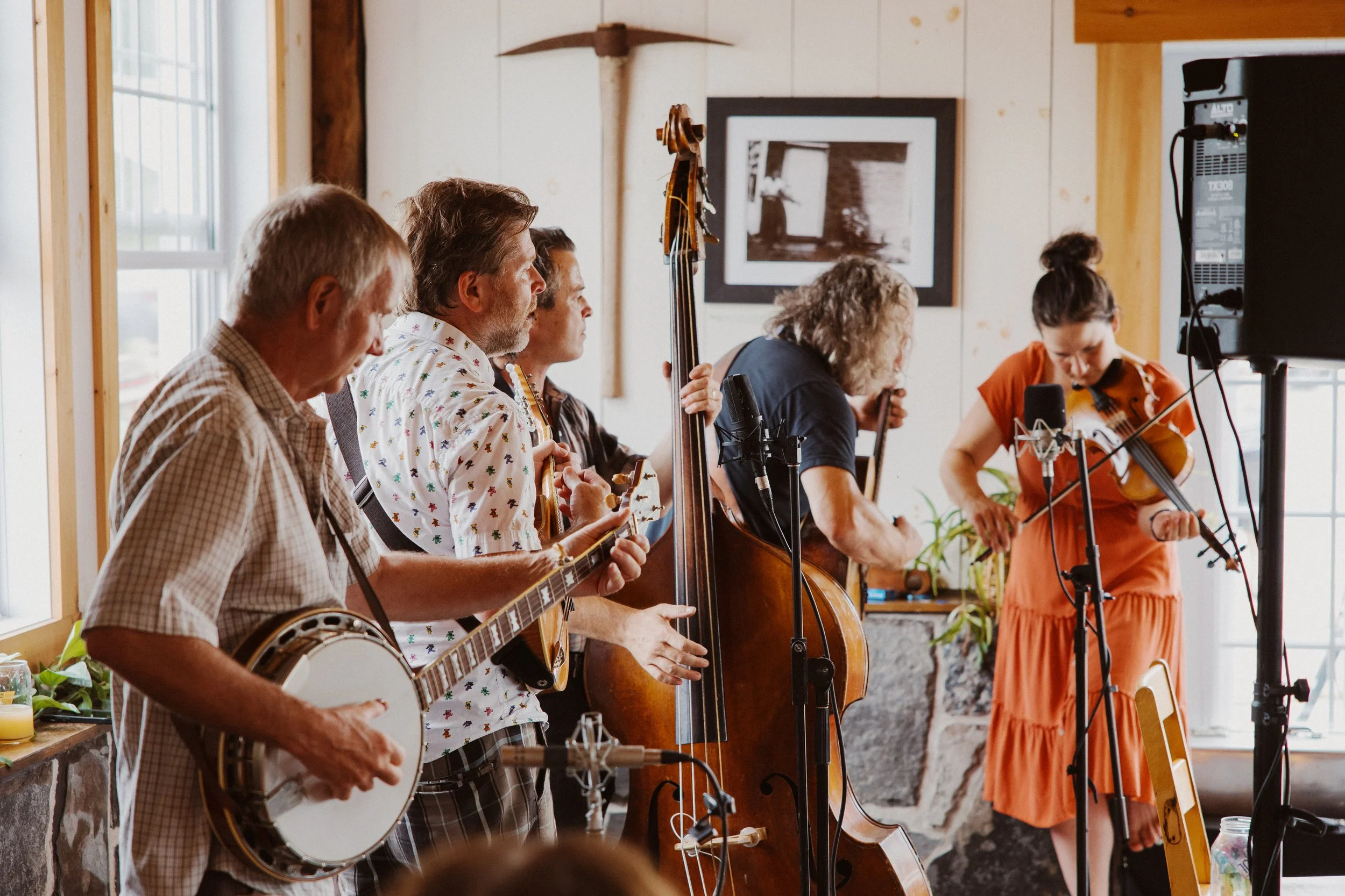 LIVE MUSIC: The Ditchflowers