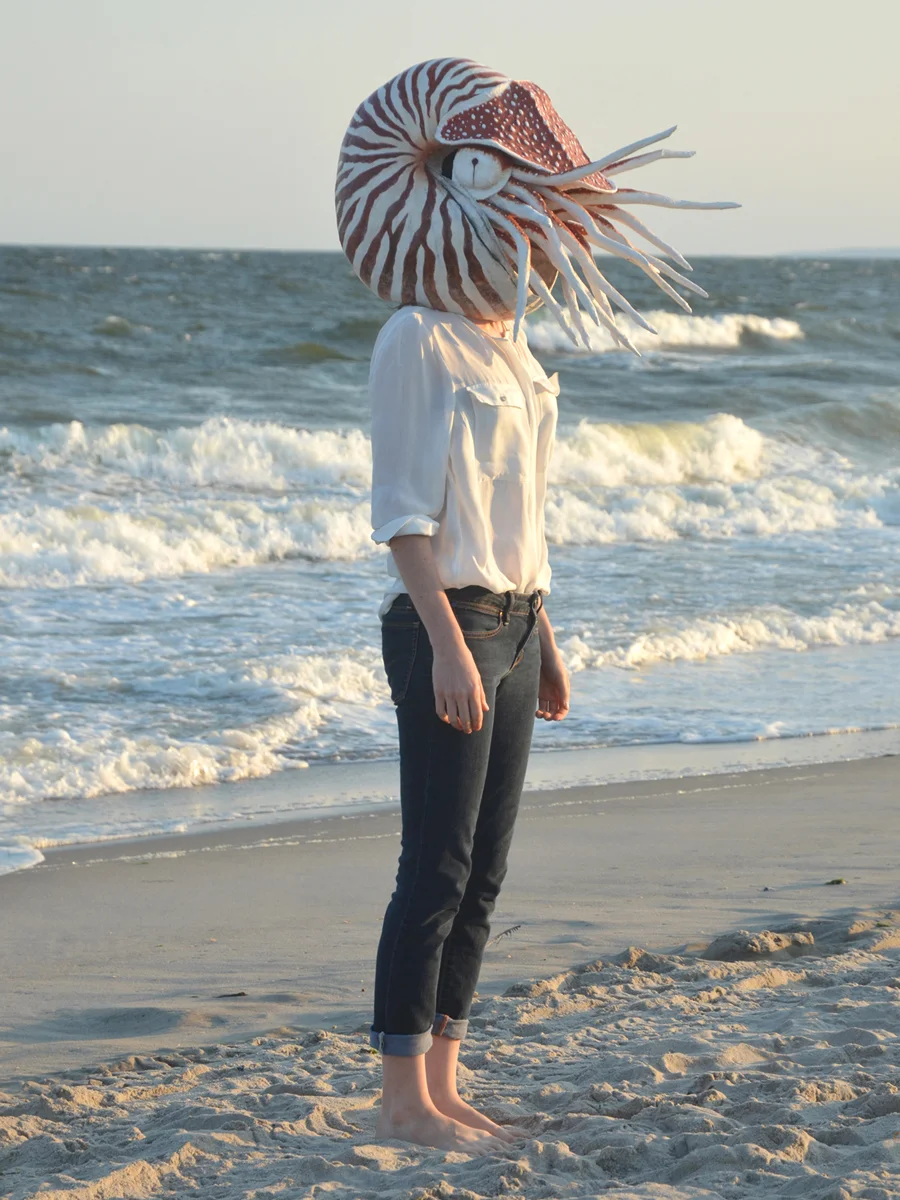 nautilus