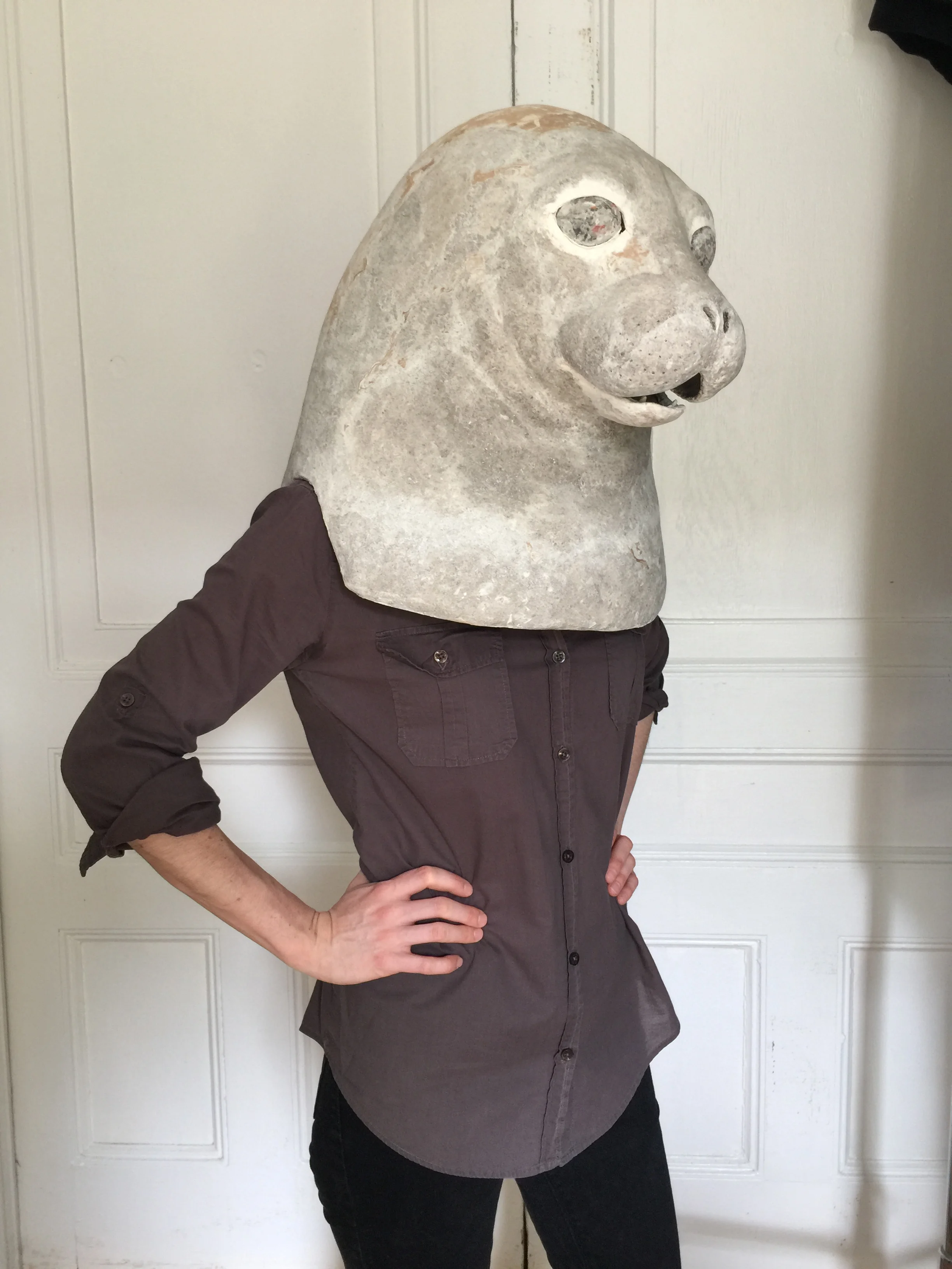 seal - in progress