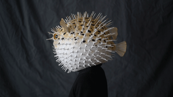 Porcupine Fish