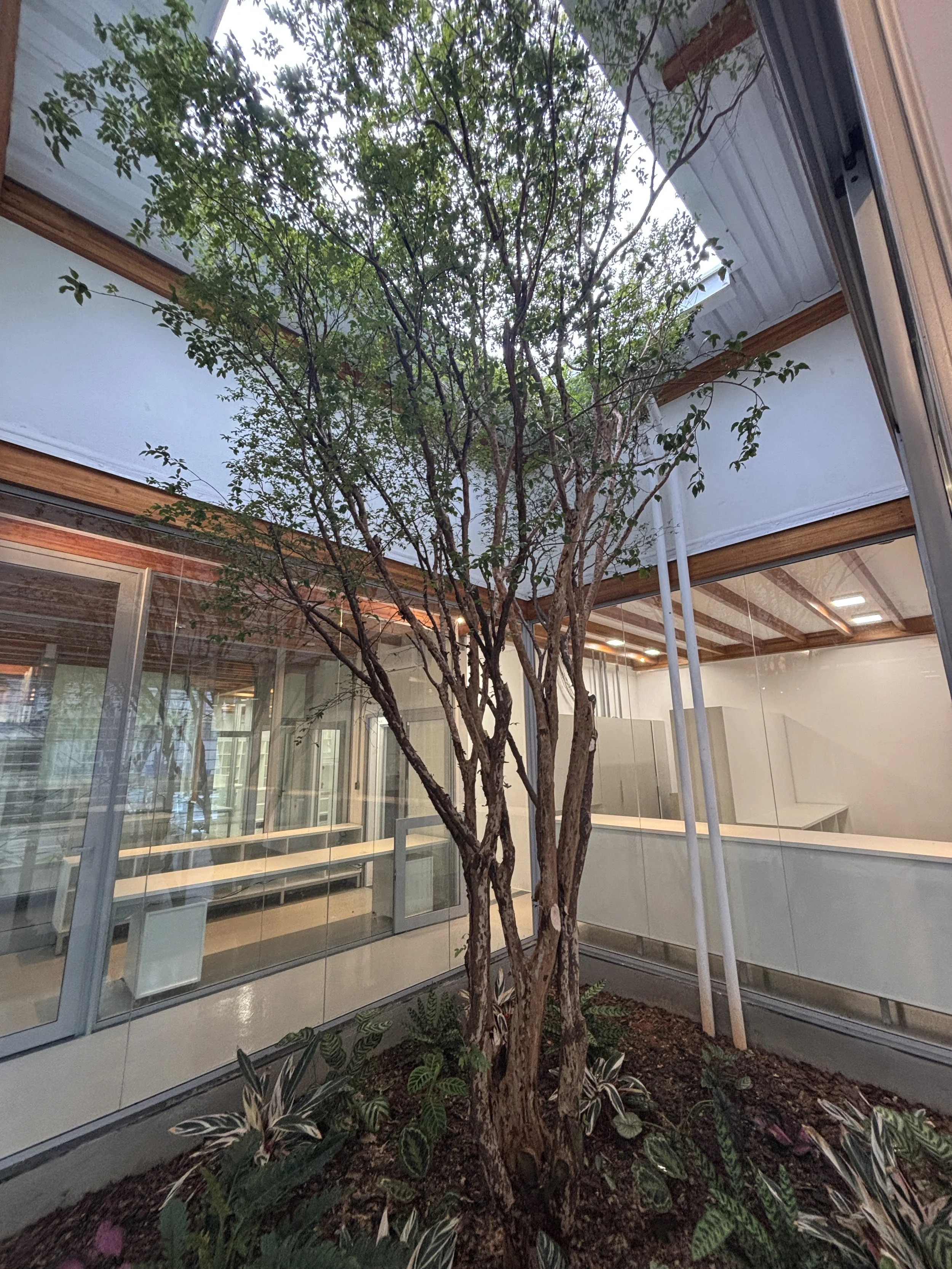 IMG_7229.JPEG