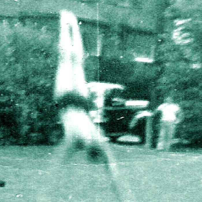 How Are We Doing and Who Will Tell Us? ------- Parts are surprisingly melodic and at times even quasi-ambient down the road of "majestic junk folk" — the band's self-stuck label — the album's twelve songs travel. The quintet, a group of skilled players led by multi-instrumentalist Damon Waitkus, takes itself just seriously enough to produce cohesive bits of music that shun conventional three-act, verse-chorus structures that could also be billed "hillbilly funk" or "backwater fusion." And isn't this what fits the "progressive" bill? ...the perfect album for the discerning listener looking for something different yet not alienating.” -ELIAS GRANILLO JR., Prognaut