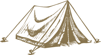 Asset 7.png