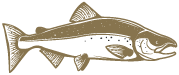 Asset 4.png