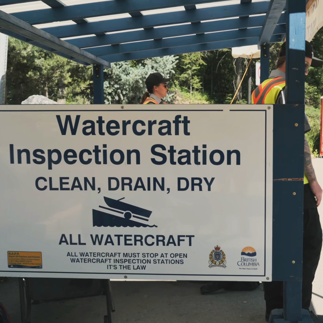 Clean, Drain, Dry: Help Protect Our Waters from Invasive Mussels