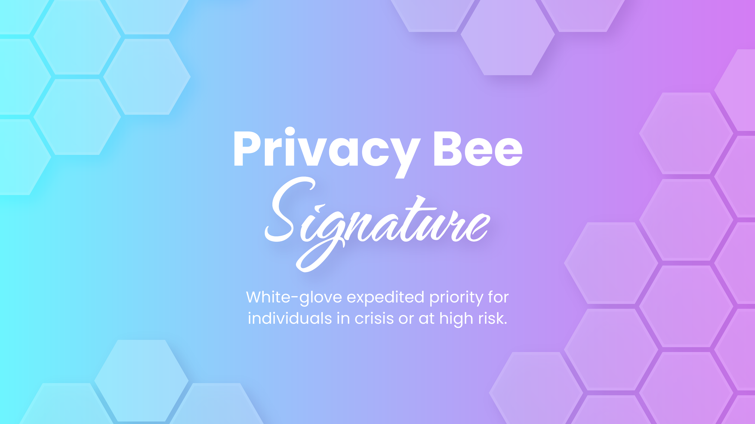 Privacy_Bee_new-slide_AH-1.png