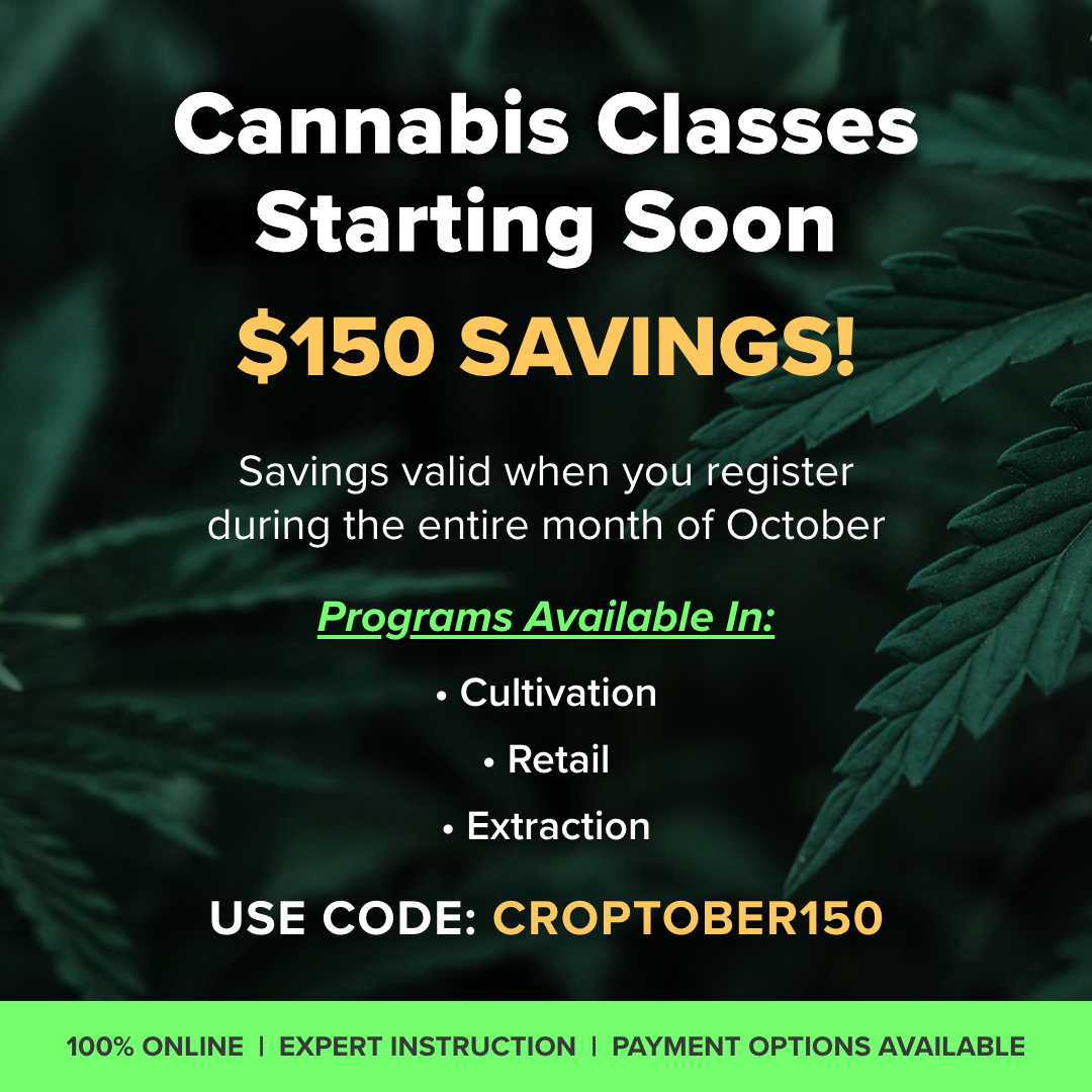 Workforce-Program_Cannabis-Classes_Oct.png