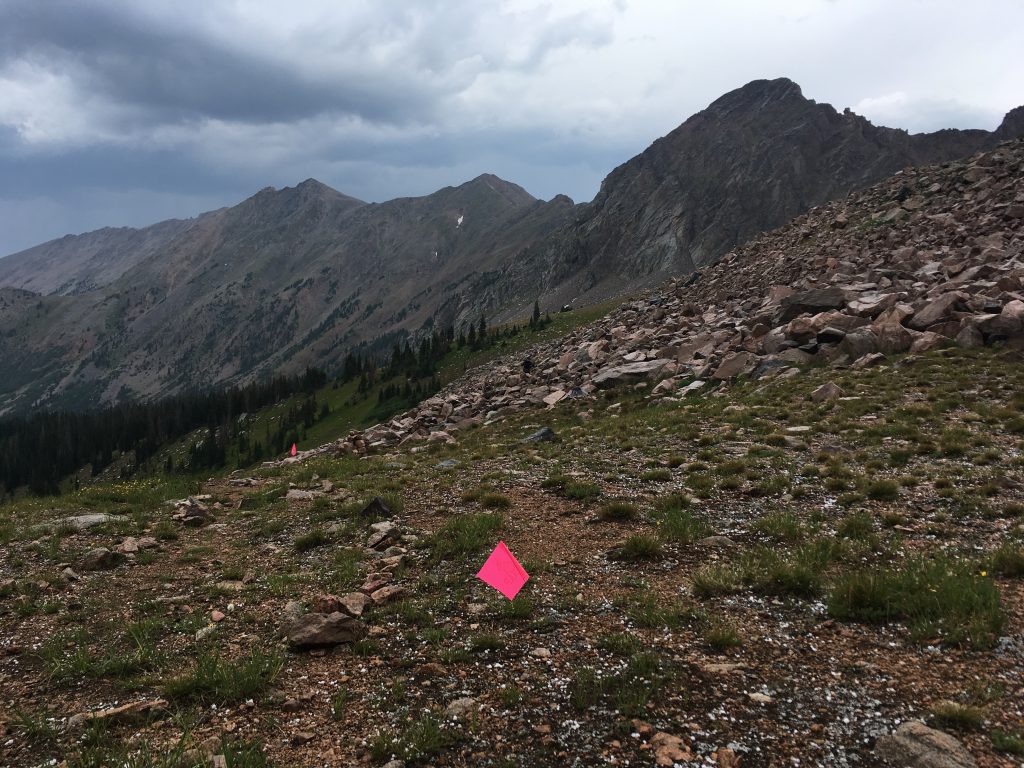 Following Paths that weren’t paths…follow the pink flags.