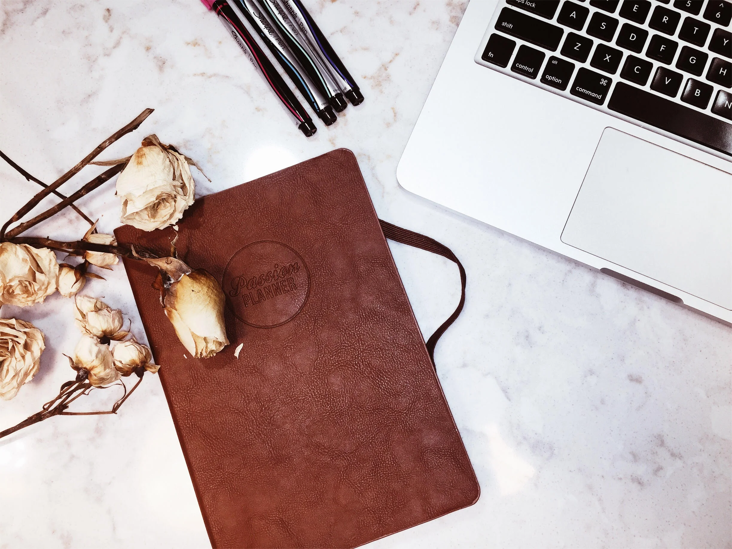 Passion-Planner_New-Years-Goals.jpg