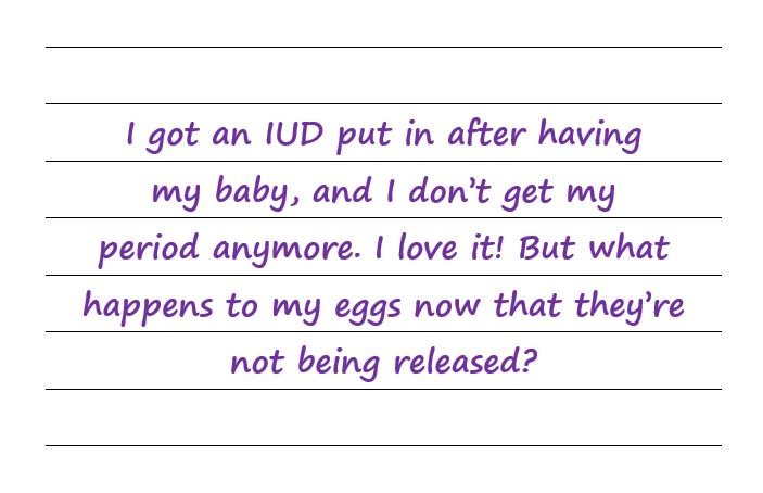 I Got An IUD Put In. What Happens To My Eggs Now That They’re Not Being Released?