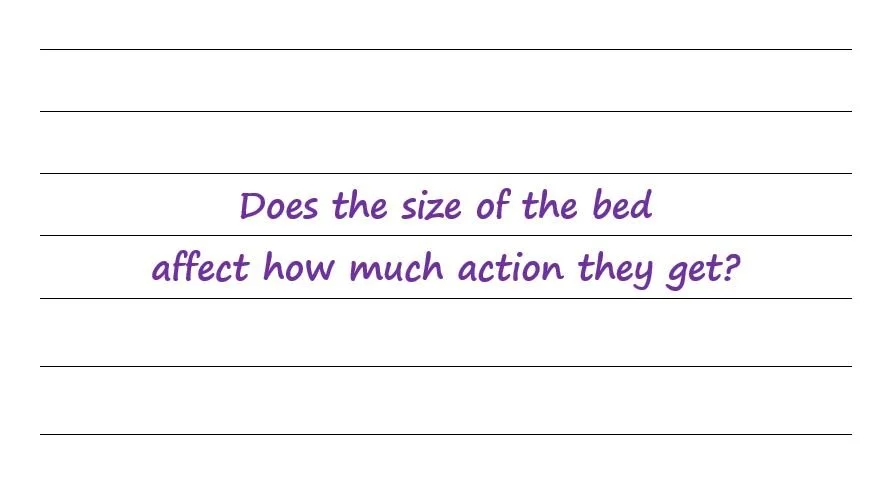 Does The Size Of The Bed Affect How Much Action They Get?